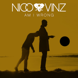 Nico & Vinz  -  Am I Wrong x Give Me Everything (Nath Jennings Mash Up) (Clean)