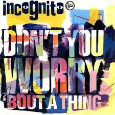 Incognito  -  Don't You Worry 'Bout A Thing  (DJ John Culture Rework)