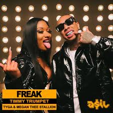 Timmy Trumpet feat Tyga  Megan Thee Stallion  -  Freak  (ASIL Mashup)(Clean)