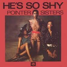 The Pointer Sisters  -  Hes So Shy (Dj Allan 80s Redrum) (Clean)