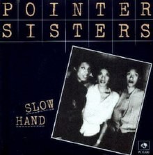 The Pointer Sisters  -  Slow Hand (Groove Terminator Edit 2024)(Clean)