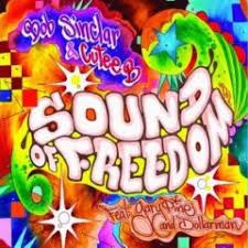 Bob Sinclar  -  Sound Of Freedom (Nicola Pigini Remix) (Clean)