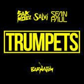 Sak Noel ft. Sean Paul  - Trumpets (Delirious & Alex K Mix)(Clean)