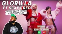 Glorilla ft. Sexyy Red  -  WHATCHU KNO ABOUT ME (Sefu Remix)(Clean)[VjMixes