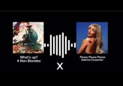 4 Non Blondes Vs Sabrina Carpenter  -  What's Up Vs Please Please Please (Dj Smerk Tiktok Edit)(Intro)(Clean)