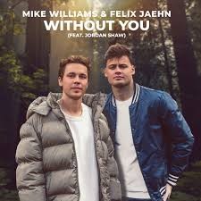 Mike Williams ft. Felix Jaehn  -  Without You (Intro)Clean)[VjMixes