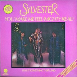 Sylvester  -  You make me feel (Dario Caminita Revibe)